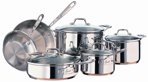 Emerilware Stainless Steel 10 Piece Cookware Set