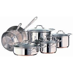 Emerilware Stainless 10-Piece Cookware Set