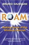 Roam : making sense of the wireless Internet