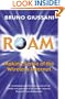 Roam: Making Sense of the Wireless Internet