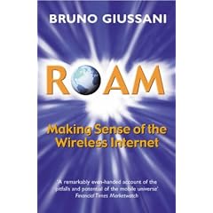 Roam: Making Sense of the Wireless Internet