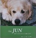 For Jun―あるゴールデン・レトリバーと過ごした日々