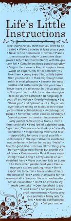 Life's Little Instructions Poster Print, 12x36 Collections Poster Print, 12x36 College Poster Print, 12x36
