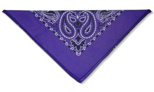 Childrens Toyshop  Sporting Goods : Bandanna Purple