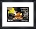 MARS VOLTA De-loused in the Comatorium - Custom Framed Original Ad - Framed Music Poster/Print