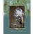 Lab Manual to accompany Introductory Plant Biology