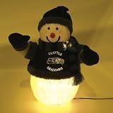 Seattle Seahawks Fiber Optic Snowman