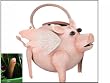 Phoebe the Flying Pig Watering Can and Wormy Watering Sensors