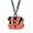 Cincinnati Bengals