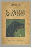 Il setter scozzese. Setter gordon - Setter nero fuocato.