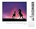 What Horses Teach Us 2017 Box Calendar