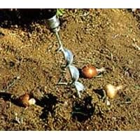 9 Cordless or Electric Bulb Planter - EFFORTLESS! from Bulb Planters