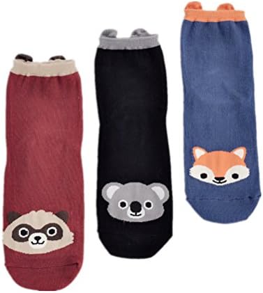 Magic Pieces Cartoon Style Ankel Socks (Fox Raccoon and Koala)