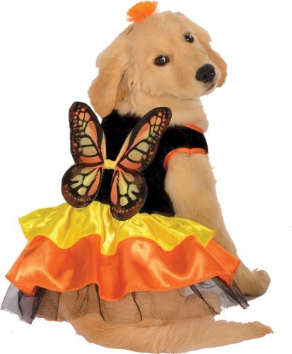 Rubies Costume Halloween Classics Collection Pet Costume Monarch Butterfly