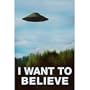 (24x36) The X-Files I Want To Believe TV Poster Print