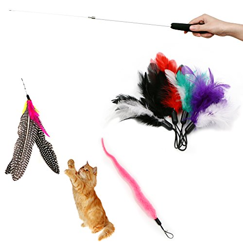 6 Pcs Assorted Feather Cat Interactive Toy,Kany Retractable Wand Rod With 6 Pcs Feather Teaser Cat Catcher - Perfect Teaser for Exercising Kitten and Cat