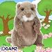 Webkinz Prairie DogFebruary Release 2011
