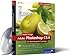 Adobe Photoshop CS4 Die Workshops für Einsteiger