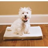 Innotek PWC17-10797 PetSafe Stay Mat The Wireless Crate - Small