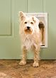PetSafe Plastic Pet Door - Medium