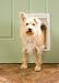 PetSafe Plastic Pet Door - Medium