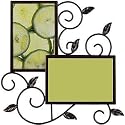 Burnes of Boston PS117346 Maria Wire 2 Opening Picture Frame, Champagne