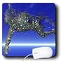Robot - Swimming Robot - Mouse Pads