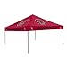 South Carolina Team Color Tailgate Tent