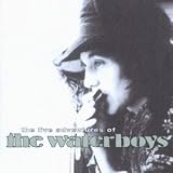 Review Waterboys  / The Live Adventures of the Waterboys 1986 [VINYL]
