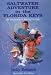 Saltwater Adventure in the Florida Keys: An Introduction to Fishing for Kids by Jacky Robinson