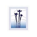 Blue Iris by Nina Farrell- 26.5x22.5"