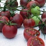 Tomato 'Black Cherry' Vegetable Seeds