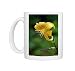 DAD-1815 Turks-cap Lily. The bulb produces up to 12 blooms each summer Photo Mugs