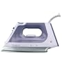 Rowenta DX-8800 1750-Watt Professional Iron