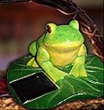 Frog On Lily Pad Solar Lamp Large