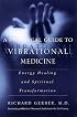 A Practical Guide to Vibrational Medicine: Energy Healing and Spiritual Transformation