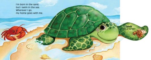 Cover image : Ocean Friends
