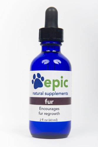Fur - All Natural Liquid Supplement for Faster Hair Regrowth Due to Surgery or Illness - Apply Directly to Body and Put in Food & Water for Fastest Results - Multivitamin (Dropper, 2 Ounce)