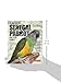 Guide to the Senegal Parrot and Its Family