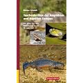 Taschenlexikon der Amphibien und Reptilien Europas. Alle Arten von den Kanarischen Inseln bis zum Ural
