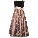 Plus Size Girls Clothes GOLD FLORAL Christmas Dress RARE EDITIONS Girl 10.5-18.5