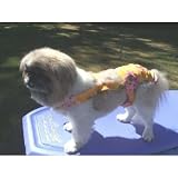 Joybies Sunshine Yellow Aloha Piddle Pants(TM) for XX Small Male Dog (Measuring 9-11 From Collar to Base of Tail)