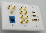 Triple size wall plate with 2 sets component RCAs, 1 set audio RCAs, 1 composite RCA. 1 coax, 1 s-video, 2 HDMIs, 1 VGA DB15 and 1 Category 5 data jack.