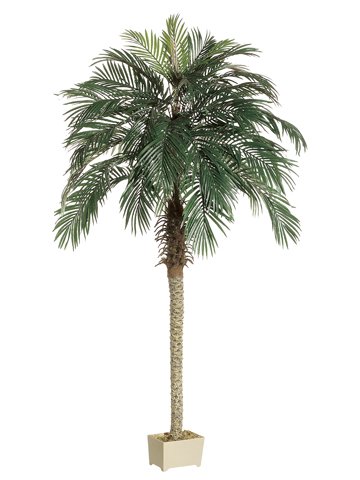 Pack of 2 Potted Artificial Silk Phoenix Palm Trees 7'