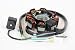 Magneto Stator 125 Gy6 150cc ATV Moped Go Kart Scooter 8 Pole