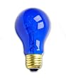 25 Watt A19 Transparent Blue Light Bulb