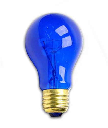 Kitchen: 25 Watt A19 Transparent Blue Light Bulb