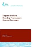 Disposal of Waste Resulting from Arsenic Removal Processes (Awwarf Report S.)