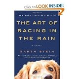 The Art of Racing in the Rain