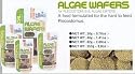 Tropical Algae Wafers Fish Food, 2.2 Lbs